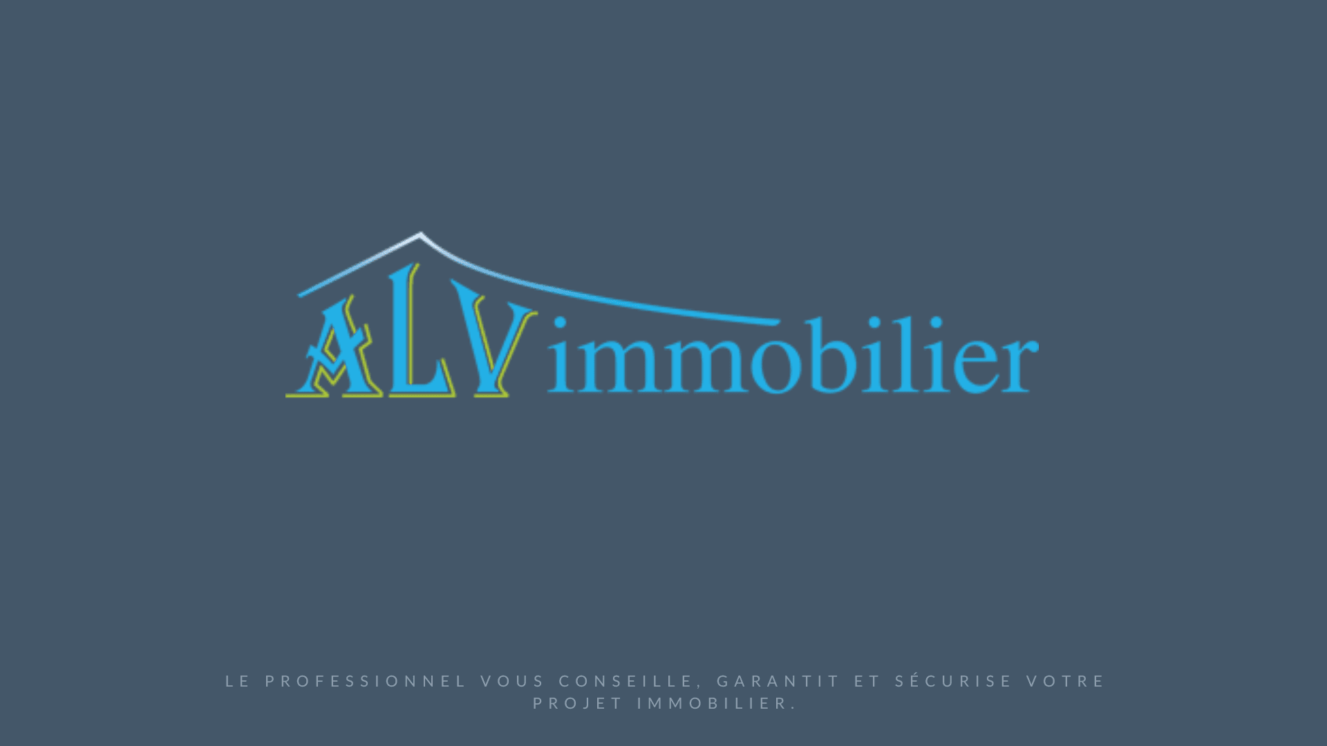 ALV Immobilier - couverture bleue avec logo